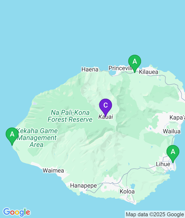 Kauai Available Airport Options